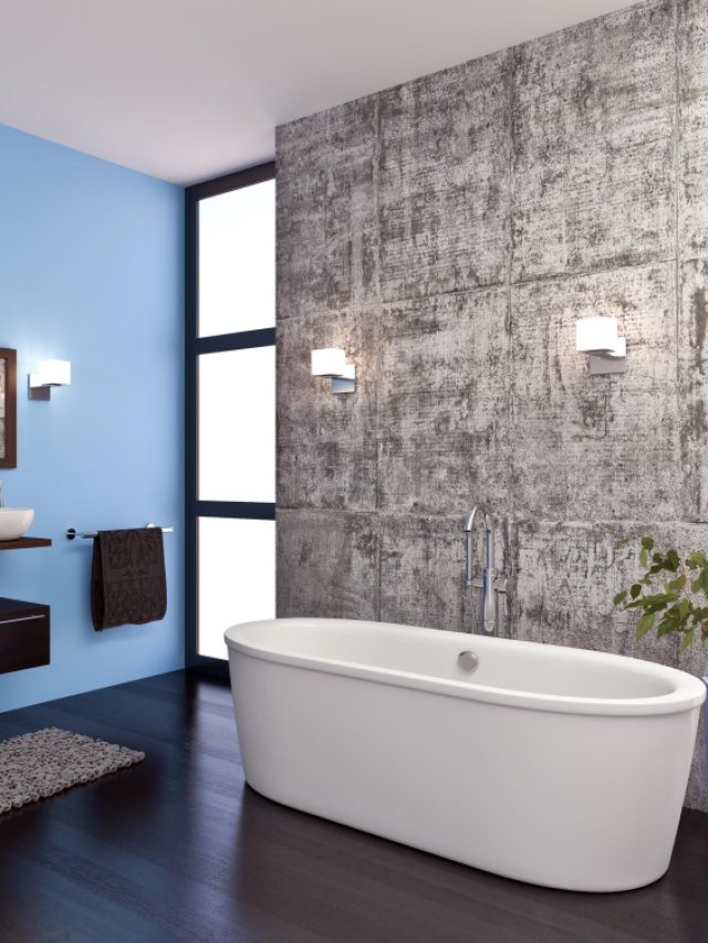 9 Bathroom Ideas with a Bathtub